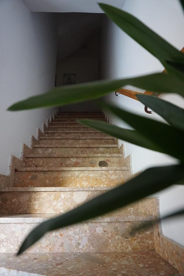 Bed And Breakfast Ivanka Mali Losinj Exterior photo
